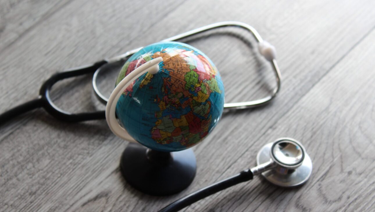 Doctor in Political Science and International Relations